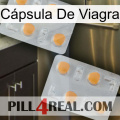 Cápsula De Viagra 25